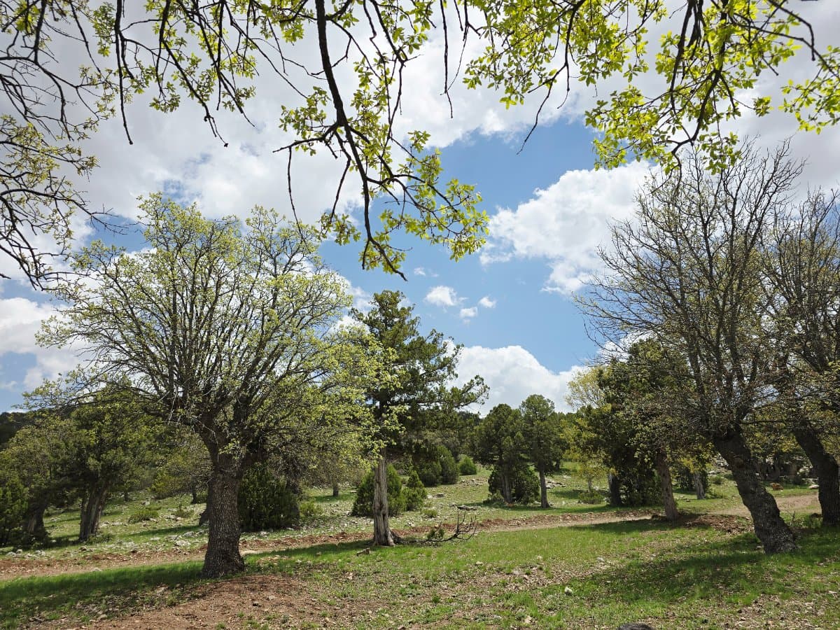 Fotoğraf 1
